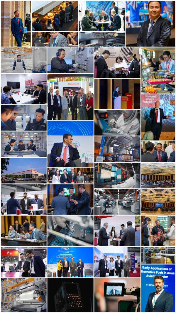 photolive-collage-web